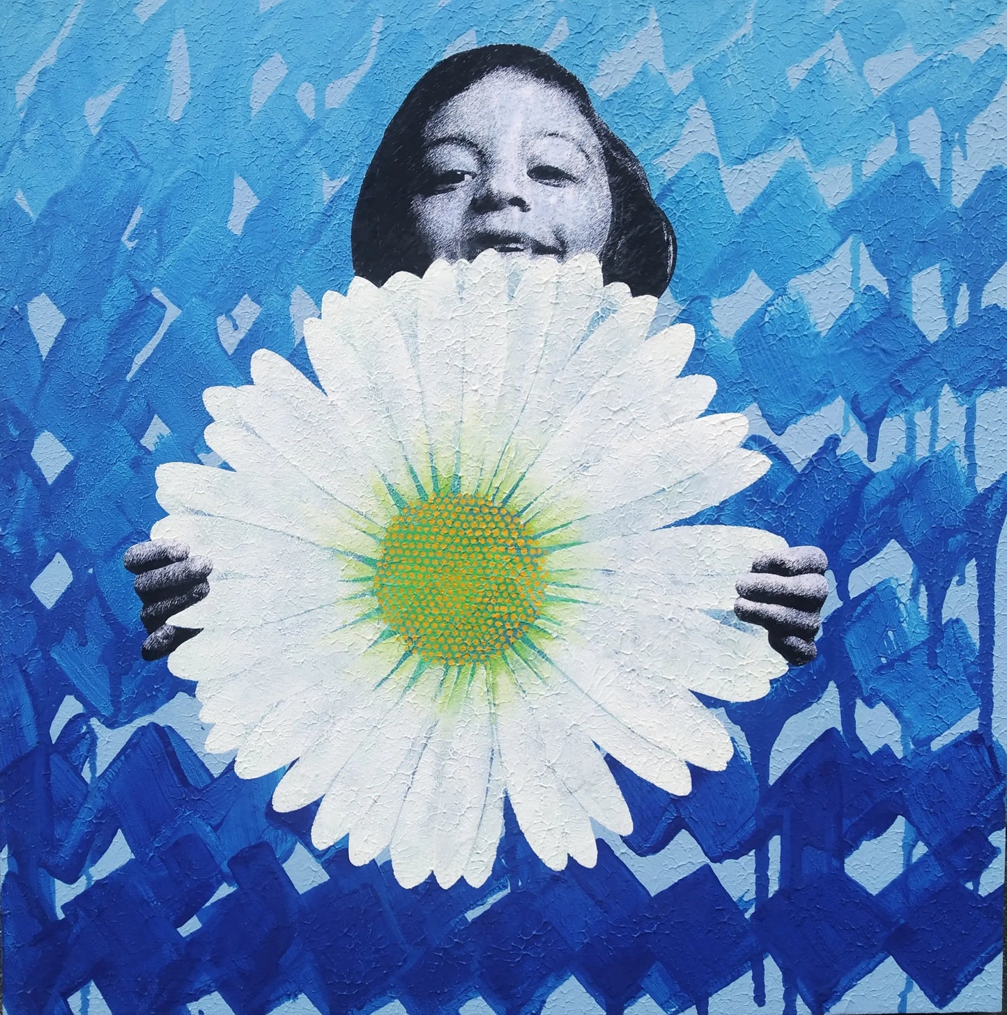 LeucanthemuM Vulgare