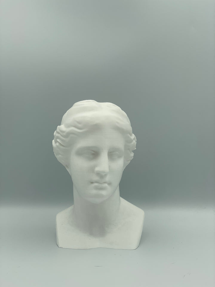 VENERE JKP
