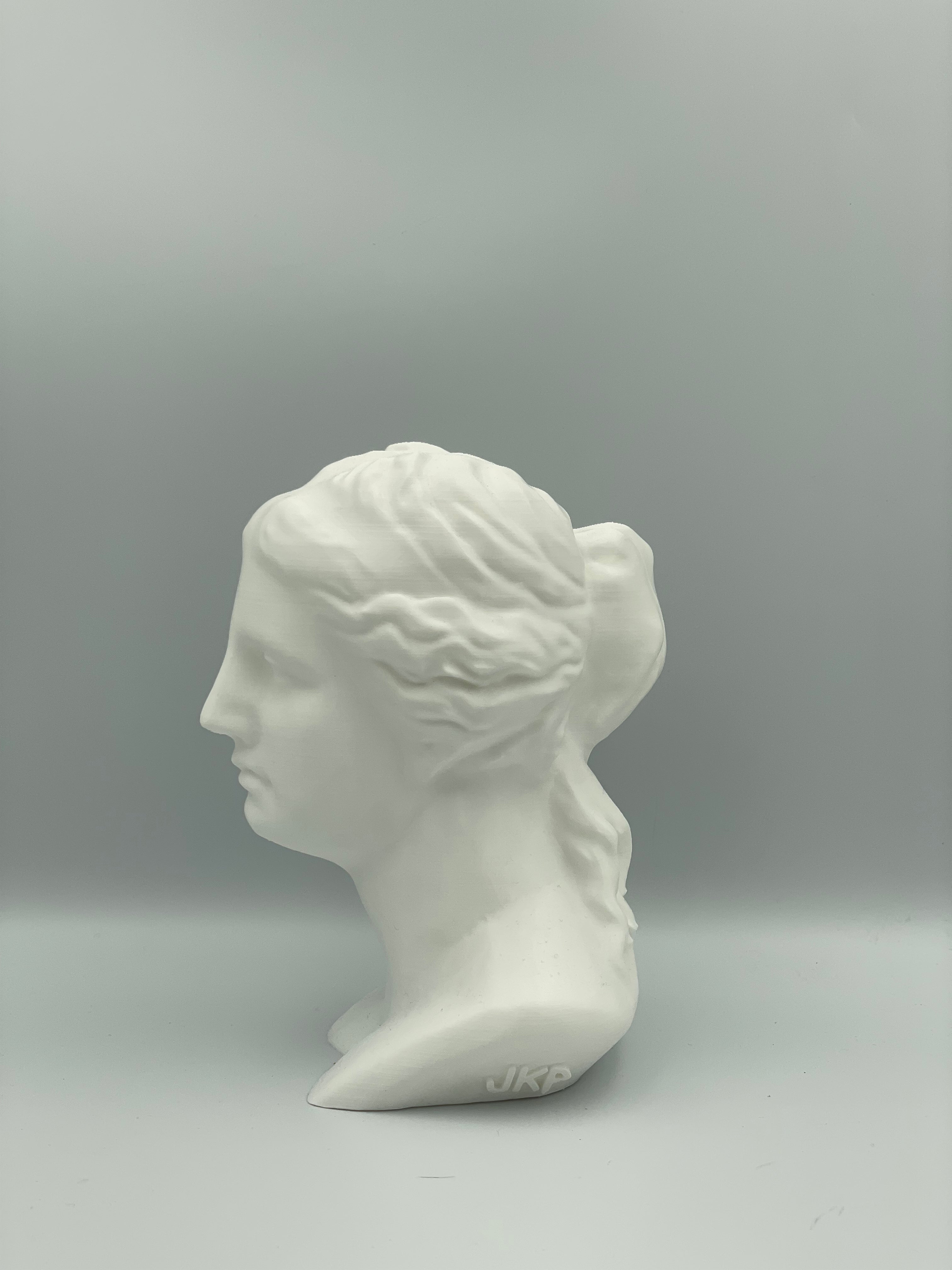 VENERE JKP