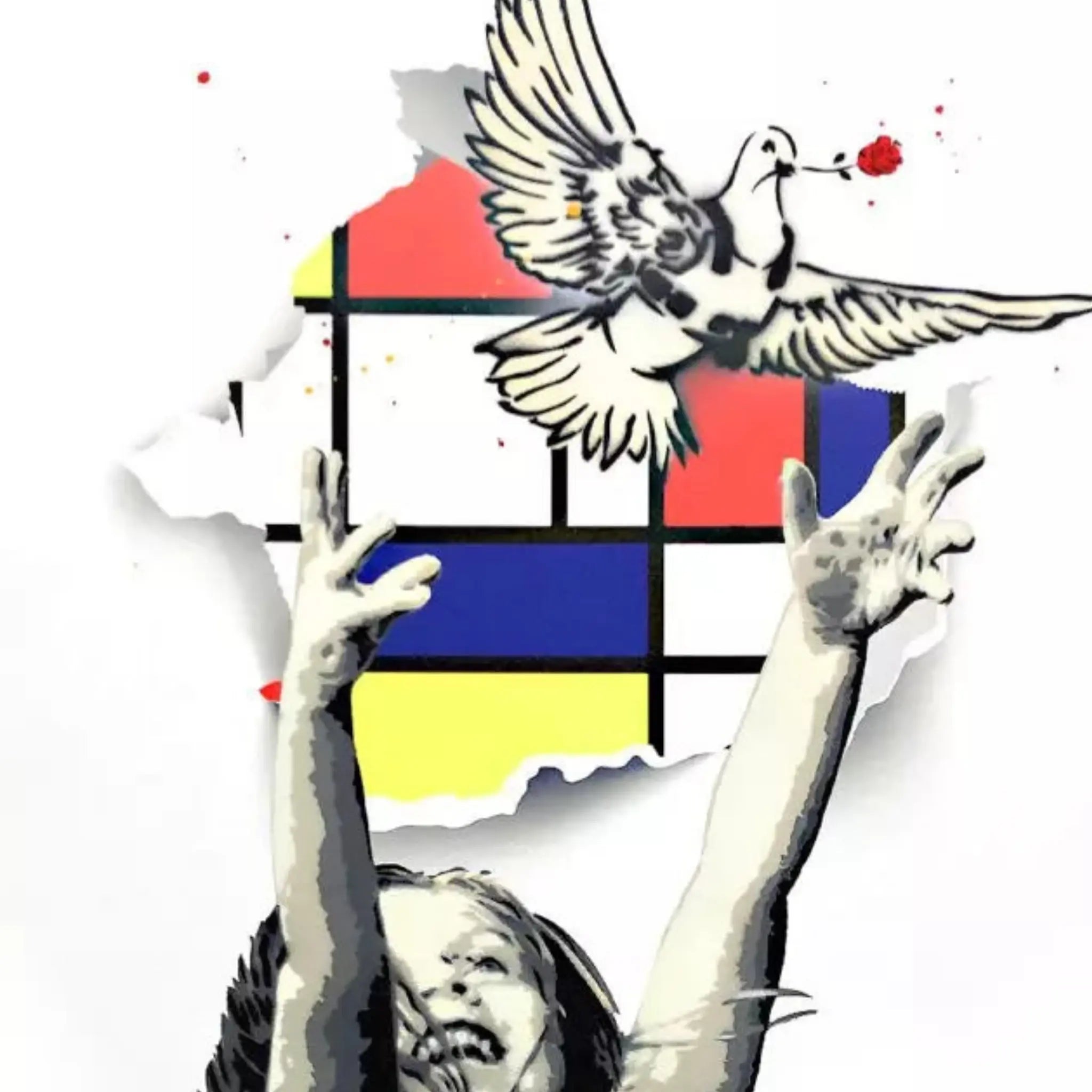 OFF THE WALL DOVE Alessio-b