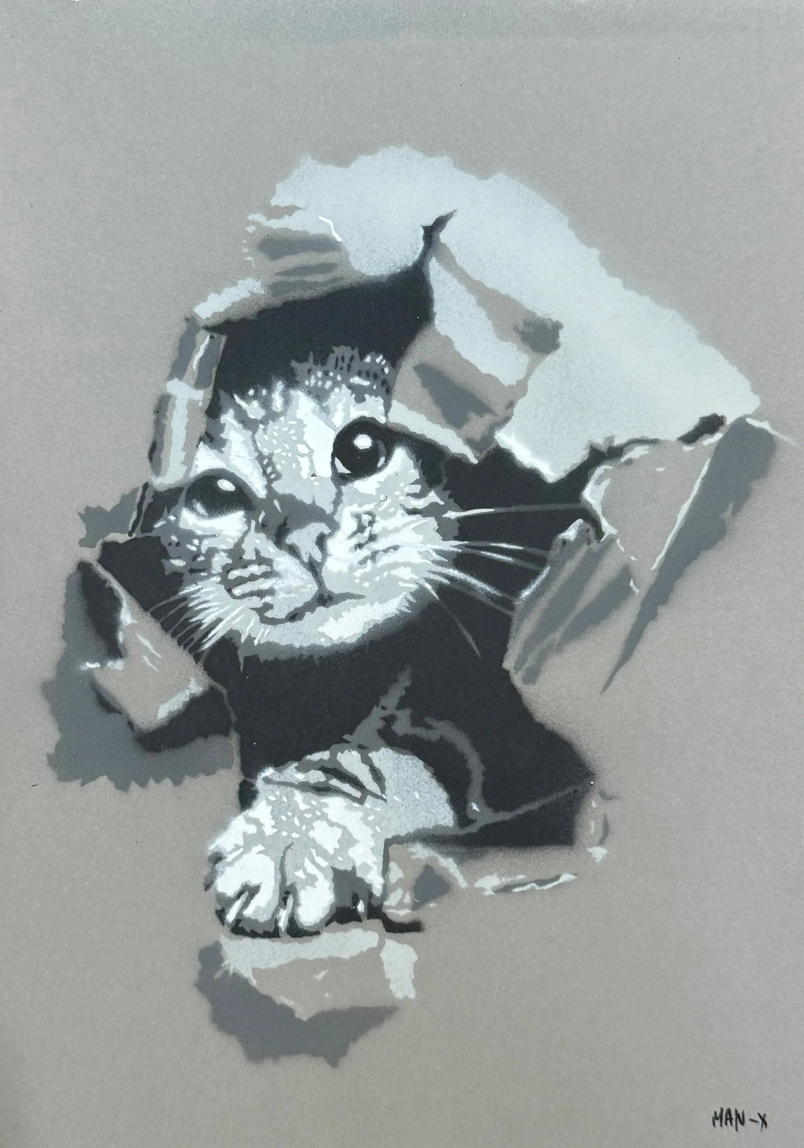 LE CHAT Man-X