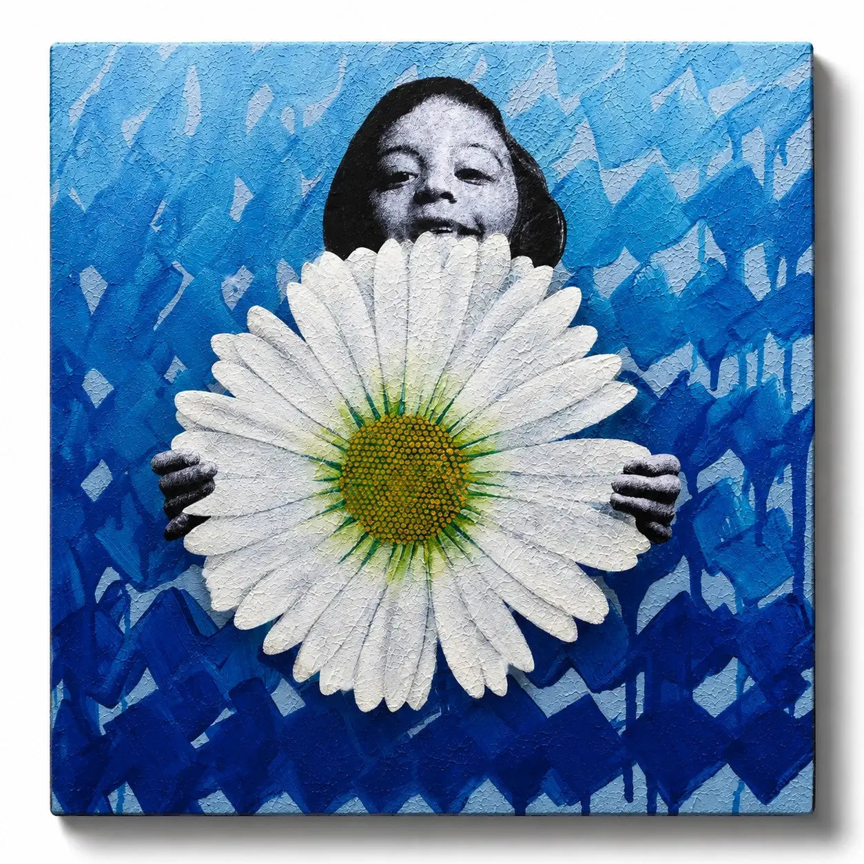 LEUCANTHEMUM VULGARE