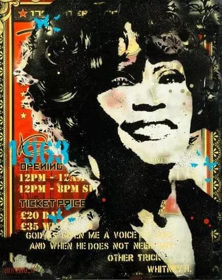 Tribute To Whitney di Alessio-B. Opera unica spray e stencil su tela rappresentante un tributo a Whitney Houston | Cd Studio d'Arte