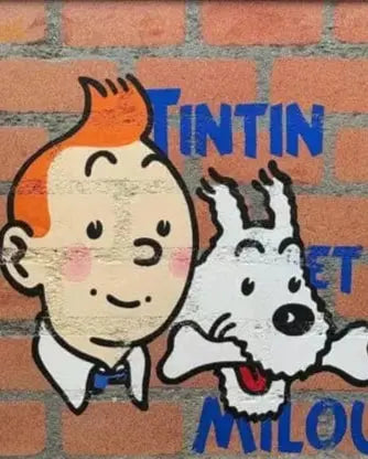 TINTIN ET MILOU Shife